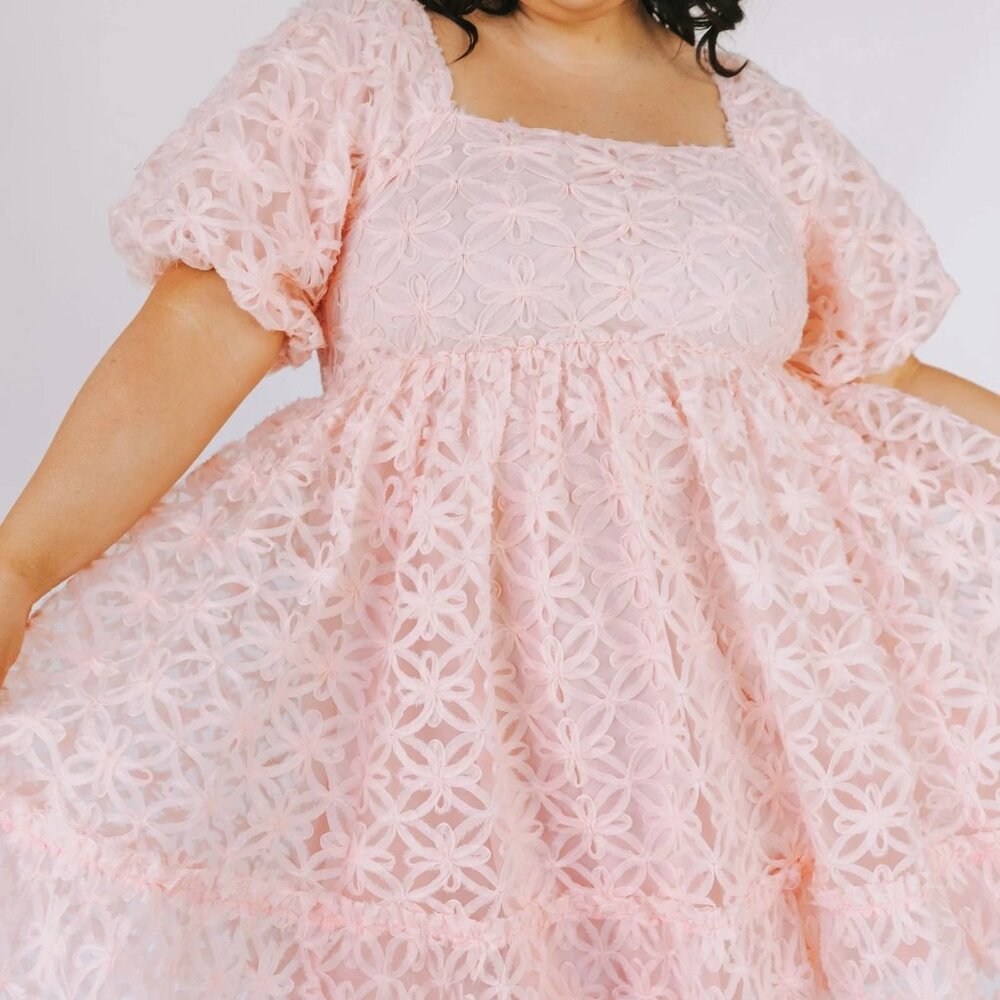 Baby Pink Floral Embroidered Dress (NWT)